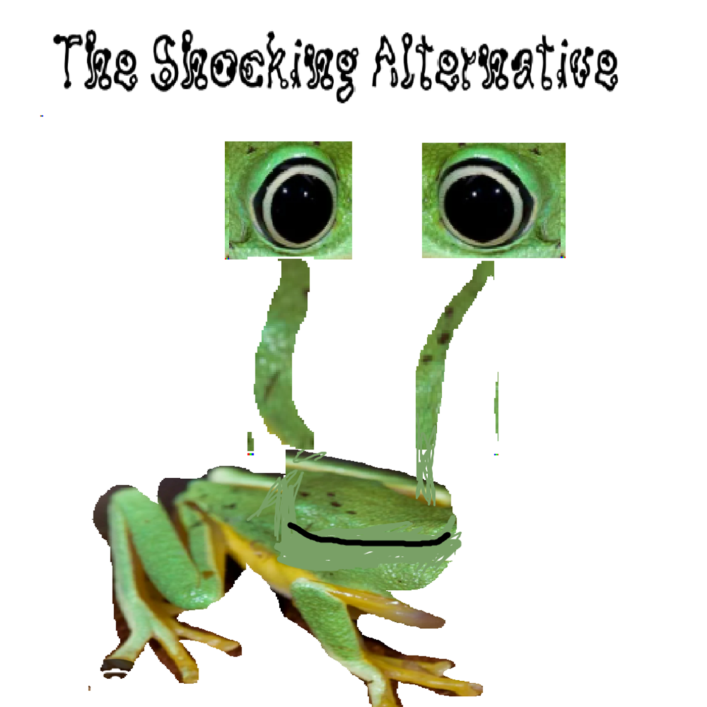 (frog) cover art